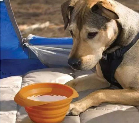 東莞<a href='http://m.mhyyy.cn/' class='keys' title='點(diǎn)擊查看關(guān)于帝博硅膠制品廠的相關(guān)信息' target='_blank'>帝博硅膠制品廠</a>